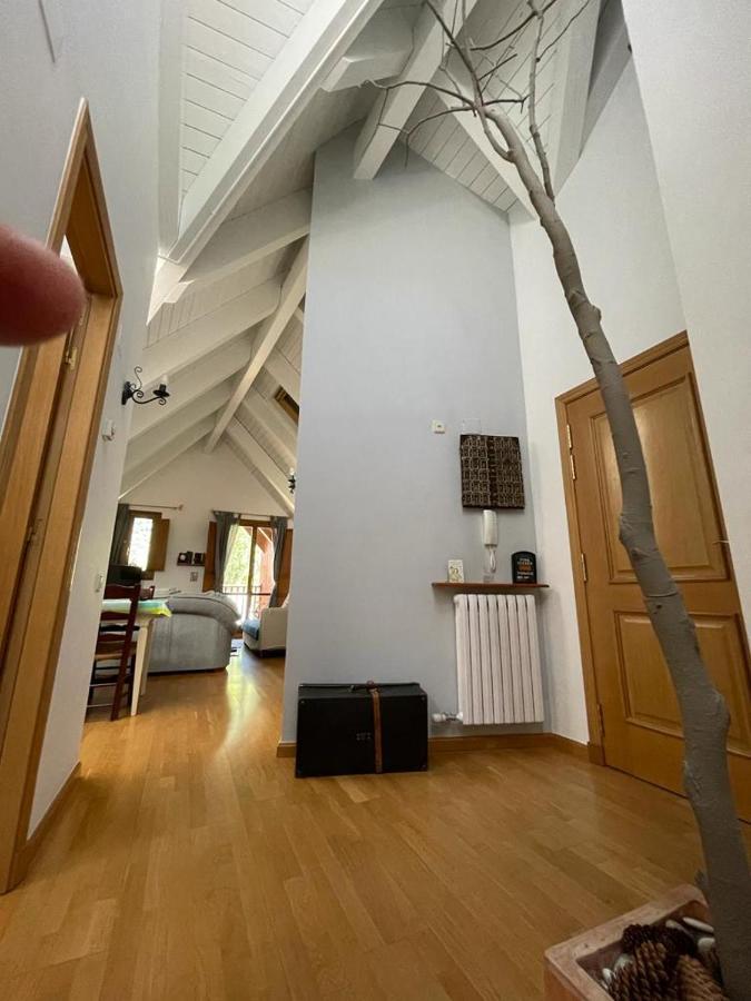 Apartamento Pico De Alba Benasque Zewnętrze zdjęcie